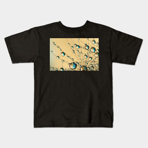 Dandy Drop Web Kids T-Shirt by SharonJ